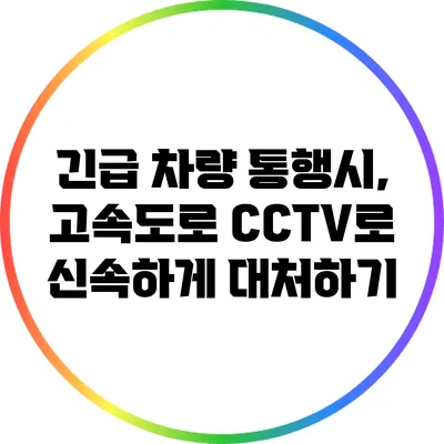 긴급 차량 통행시, 고속도로 CCTV로 신속하게 대처하기