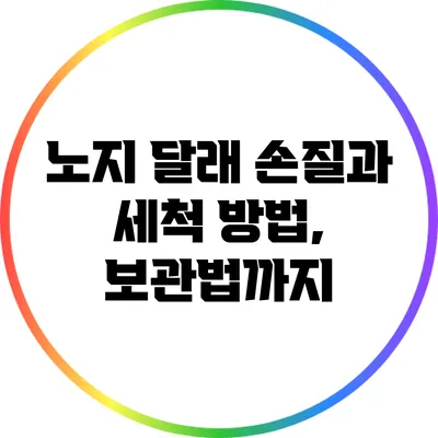 노지 달래 손질과 세척 방법, 보관법까지