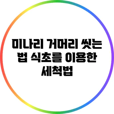 미나리 거머리 씻는 법: 식초를 이용한 세척법