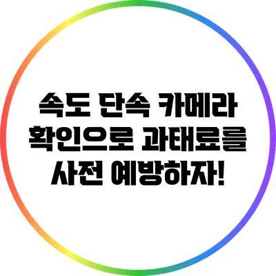 속도 단속 카메라 확인으로 과태료를 사전 예방하자!