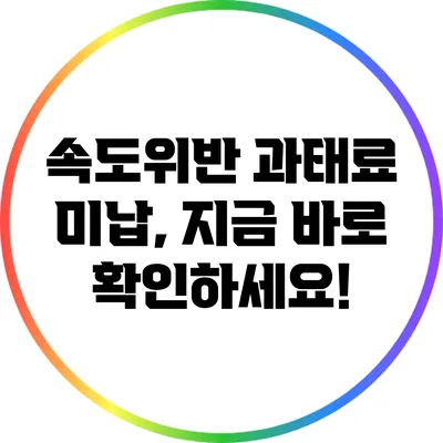 속도위반 과태료 미납, 지금 바로 확인하세요!