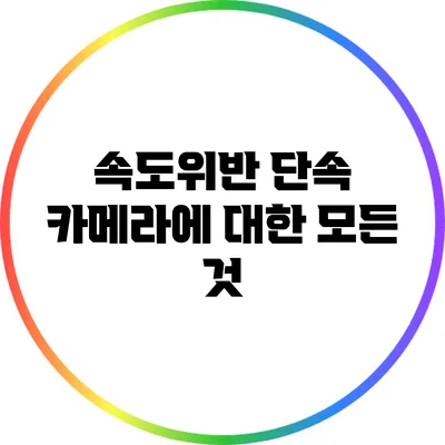 속도위반 단속 카메라에 대한 모든 것