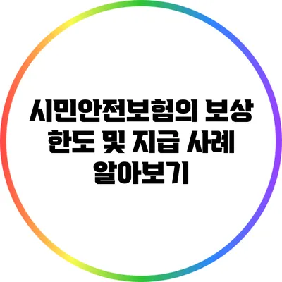 시민안전보험의 보상 한도 및 지급 사례 알아보기