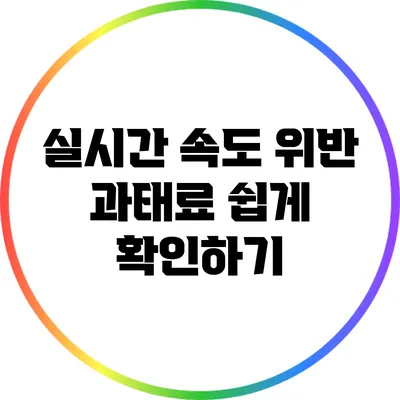 실시간 속도 위반 과태료 쉽게 확인하기