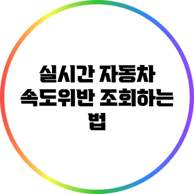 실시간 자동차 속도위반 조회하는 법