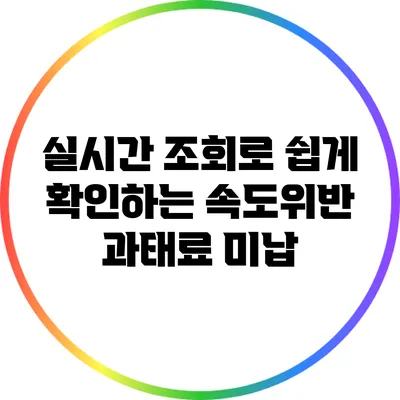 실시간 조회로 쉽게 확인하는 속도위반 과태료 미납