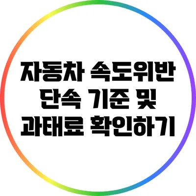 자동차 속도위반 단속 기준 및 과태료 확인하기