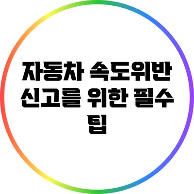 자동차 속도위반 신고를 위한 필수 팁