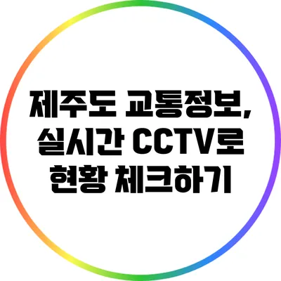 제주도 교통정보, 실시간 CCTV로 현황 체크하기