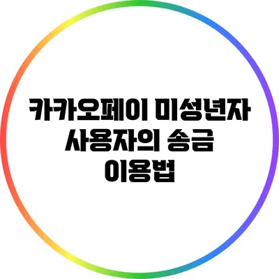 카카오페이 미성년자 사용자의 송금 이용법