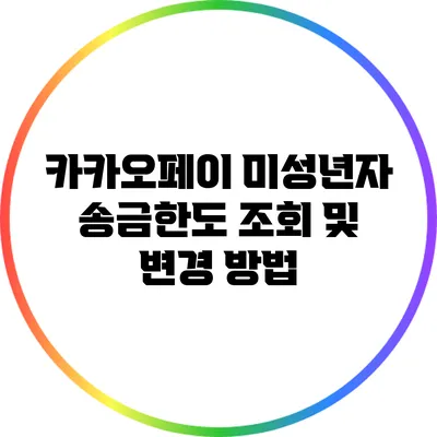 카카오페이 미성년자 송금한도 조회 및 변경 방법