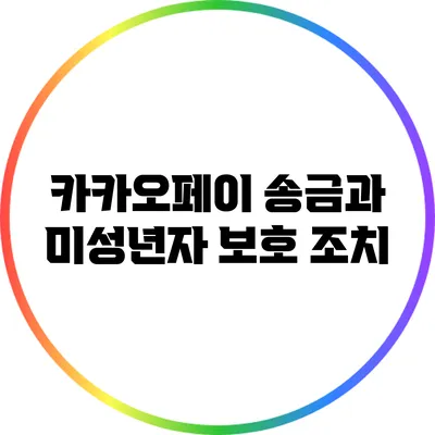 카카오페이 송금과 미성년자 보호 조치