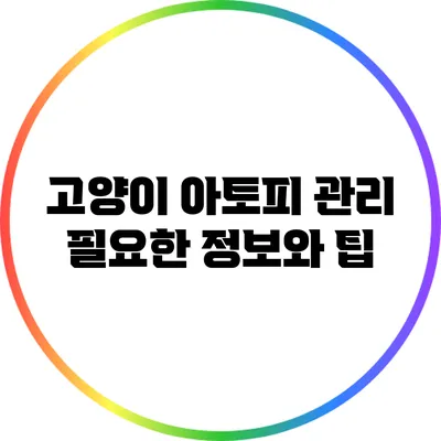 고양이 아토피 관리: 필요한 정보와 팁