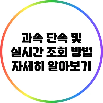 과속 단속 및 실시간 조회 방법 자세히 알아보기