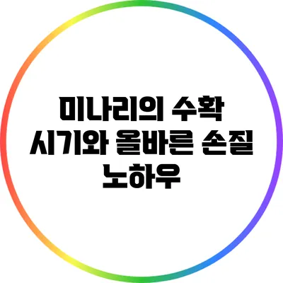 미나리의 수확 시기와 올바른 손질 노하우