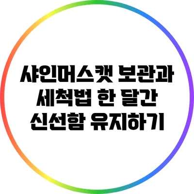 샤인머스캣 보관과 세척법: 한 달간 신선함 유지하기