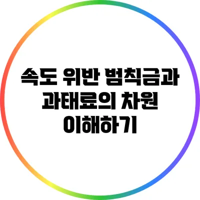 속도 위반 범칙금과 과태료의 차원 이해하기
