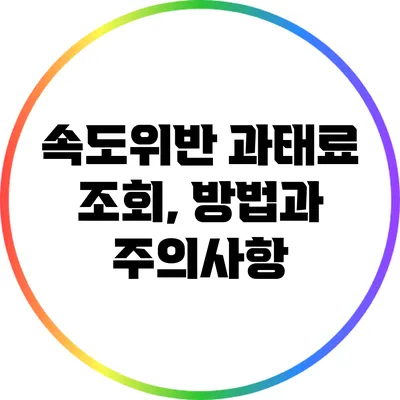 속도위반 과태료 조회, 방법과 주의사항