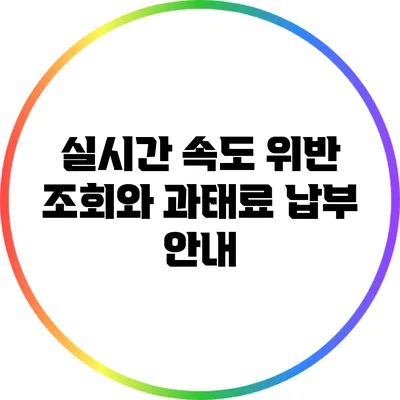 실시간 속도 위반 조회와 과태료 납부 안내