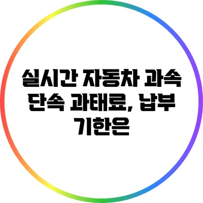 실시간 자동차 과속 단속 과태료, 납부 기한은?