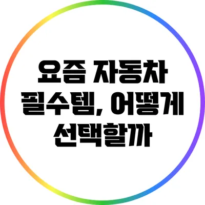 요즘 자동차 필수템, 어떻게 선택할까?
