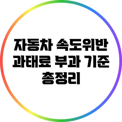 자동차 속도위반 과태료 부과 기준 총정리