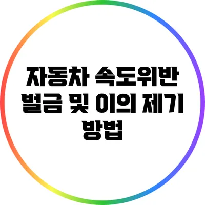 자동차 속도위반 벌금 및 이의 제기 방법