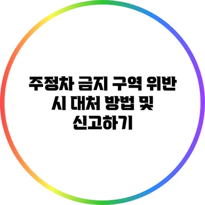 주정차 금지 구역 위반 시 대처 방법 및 신고하기