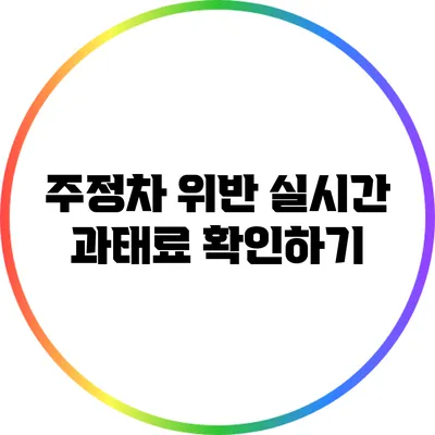주정차 위반 실시간 과태료 확인하기