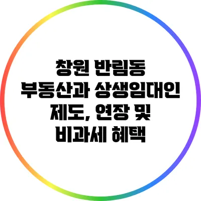 창원 반림동 부동산과 상생임대인 제도, 연장 및 비과세 혜택