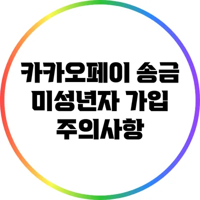 카카오페이 송금 미성년자 가입 주의사항