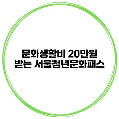 문화생활비 20만원 받는 서울청년문화패스