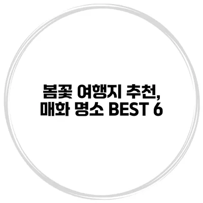봄꽃 여행지 추천, 매화 명소 BEST 6