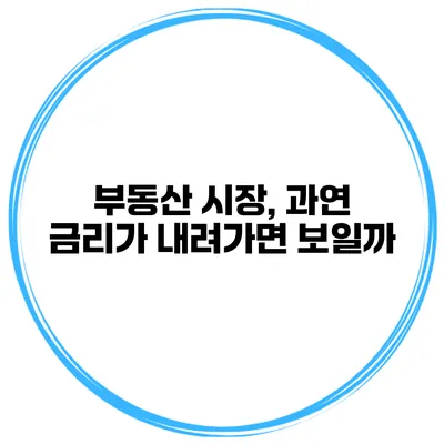 부동산 시장, 과연 금리가 내려가면 보일까?