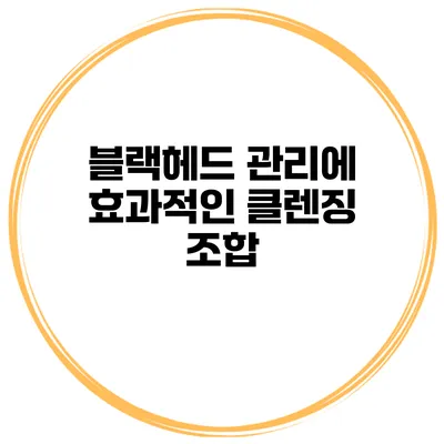 블랙헤드 관리에 효과적인 클렌징 조합
