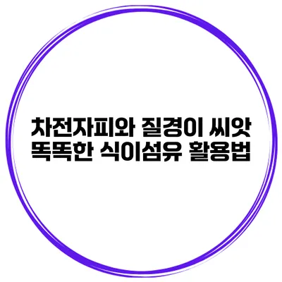 차전자피와 질경이 씨앗 똑똑한 식이섬유 활용법