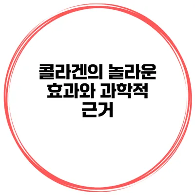 콜라겐의 놀라운 효과와 과학적 근거