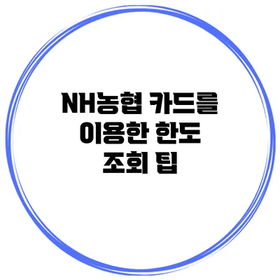 NH농협 카드를 이용한 한도 조회 팁
