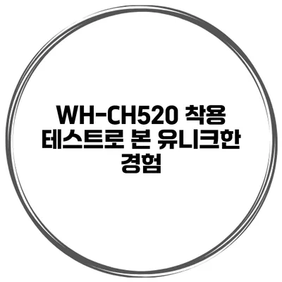 WH-CH520 착용 테스트로 본 유니크한 경험
