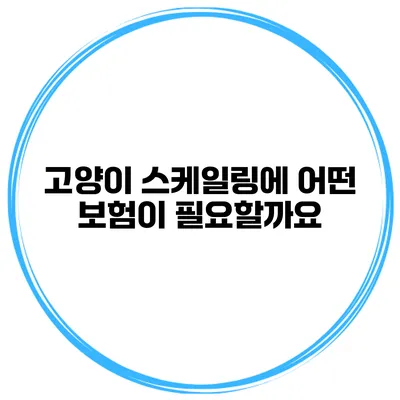 고양이 스케일링에 어떤 보험이 필요할까요?