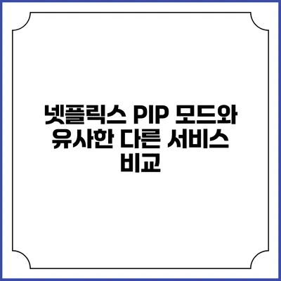 넷플릭스 PIP 모드와 유사한 다른 서비스 비교
