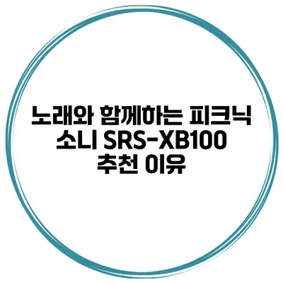 노래와 함께하는 피크닉 소니 SRS-XB100 추천 이유