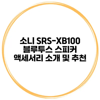 소니 SRS-XB100 블루투스 스피커 액세서리 소개 및 추천