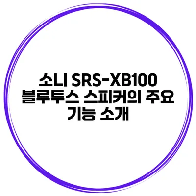 소니 SRS-XB100 블루투스 스피커의 주요 기능 소개