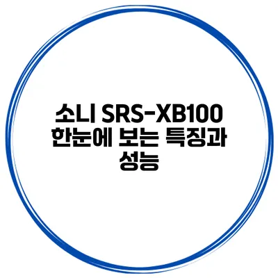 소니 SRS-XB100 한눈에 보는 특징과 성능