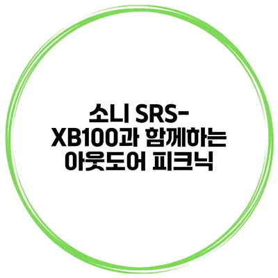 소니 SRS-XB100과 함께하는 아웃도어 피크닉