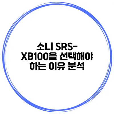 소니 SRS-XB100을 선택해야 하는 이유 분석