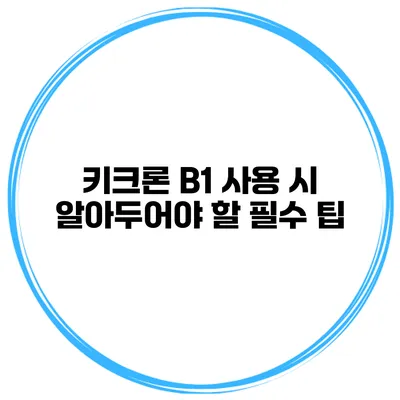 키크론 B1 사용 시 알아두어야 할 필수 팁