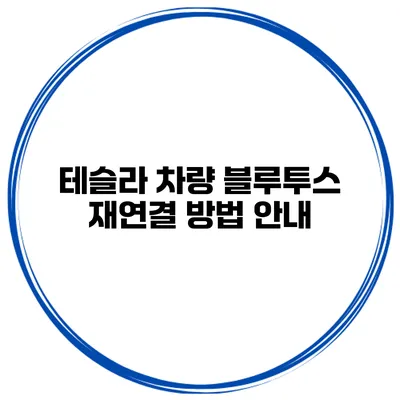테슬라 차량 블루투스 재연결 방법 안내