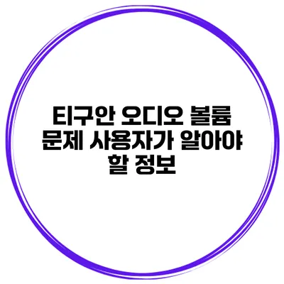 티구안 오디오 볼륨 문제 사용자가 알아야 할 정보